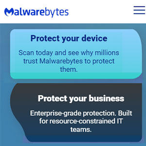 Malwarebytes Protection Options