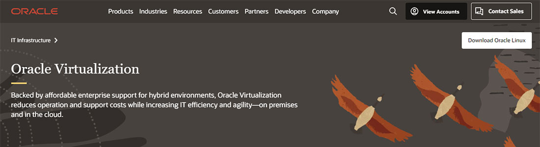 Oracle VM